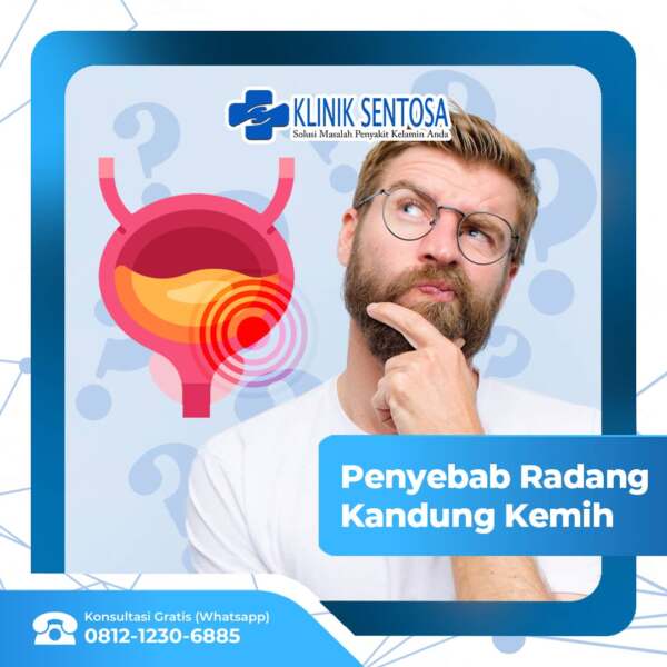 Mengenal Penyebab Radang Kandung Kemih Sistitis Klinik Utama Sentosa