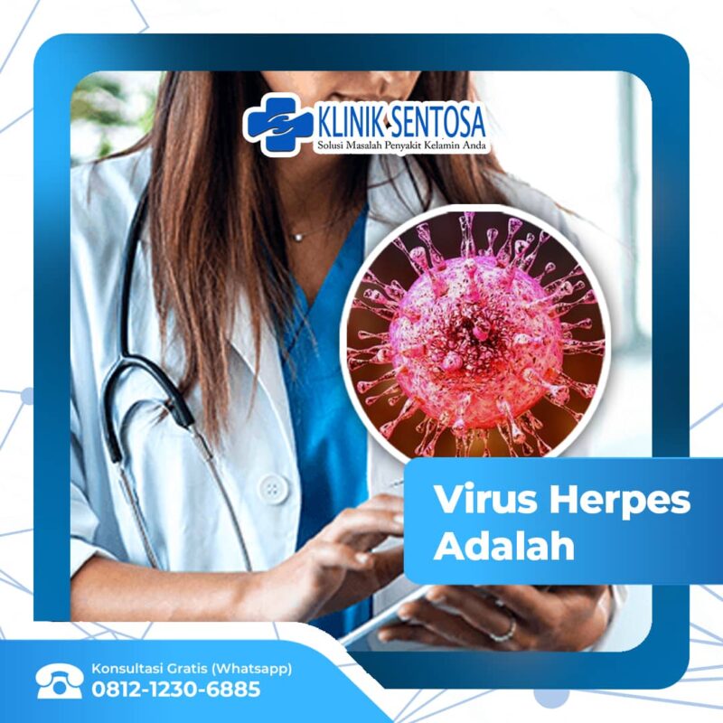 Virus Herpes Adalah Pemicu Gejala Dan Pengobatan