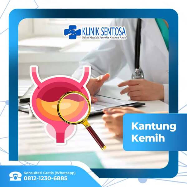 Mengenal Kantung Kemih Dan Beragam Penyakitnya Klinik Utama Sentosa