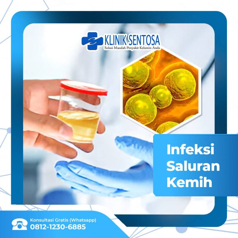 Infeksi Saluran Kemih: Pengebab, Gejala, Dan Pengobatannya – Klinik ...