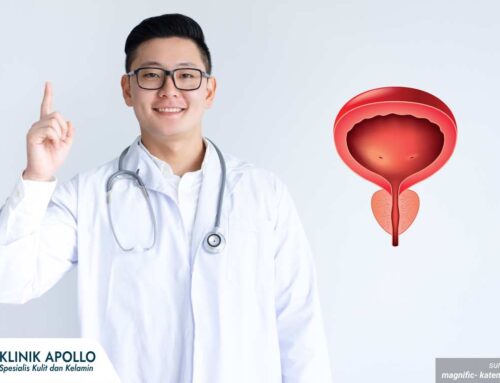 Fungsi Kelenjar Prostat pada Pria yang Wajib Diketahui