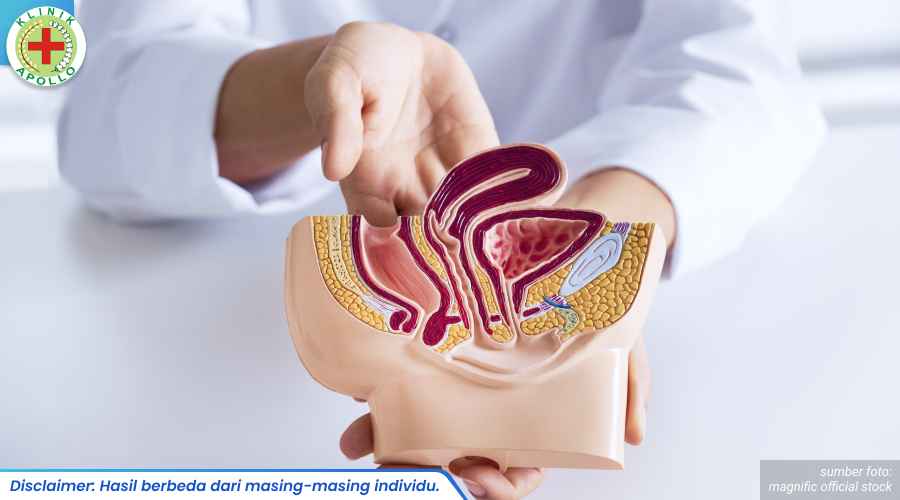 ukuran prostat normal 2_6_11zon